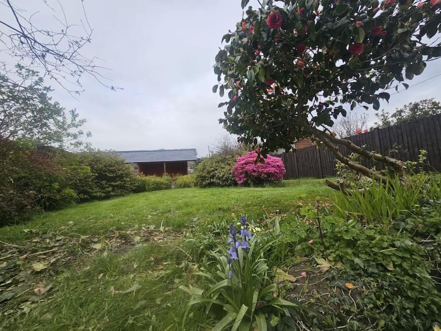 Cosy Cottage In Snowdonia Brynkir Exterior foto